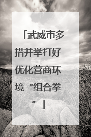 武威市多措并举打好优化营商环境“组合拳”