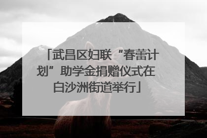 武昌区妇联“春蕾计划”助学金捐赠仪式在白沙洲街道举行