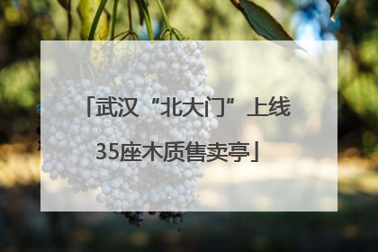 武汉“北大门”上线35座木质售卖亭