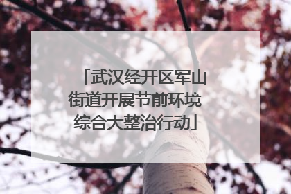 武汉经开区军山街道开展节前环境综合大整治行动