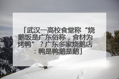 武汉一高校食堂称“烧鹅饭是广东俗称，食材为烤鸭”？广东多家烧鹅店：鸭是鸭鹅是鹅