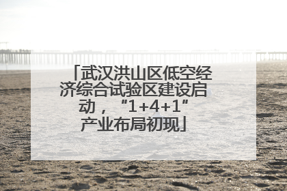 武汉洪山区低空经济综合试验区建设启动，“1+4+1”产业布局初现