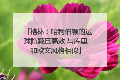 格林：哈利伯顿的运球隐蔽且高效 与库里和欧文风格相似