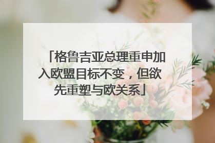格鲁吉亚总理重申加入欧盟目标不变，但欲先重塑与欧关系