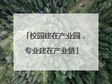校园建在产业园，专业建在产业链