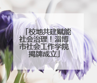 校地共建赋能社会治理！淄博市社会工作学院揭牌成立