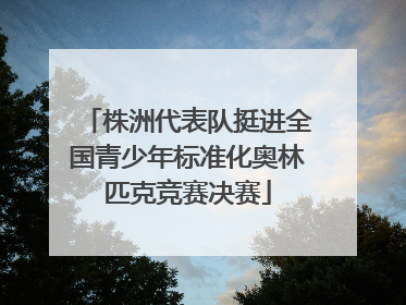 株洲代表队挺进全国青少年标准化奥林匹克竞赛决赛