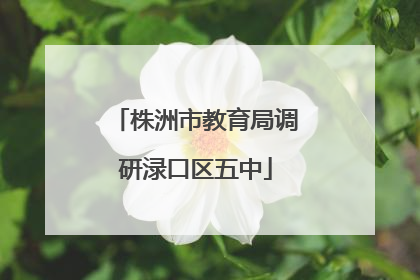 株洲市教育局调研渌口区五中