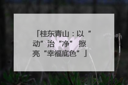 桂东青山：以“动”治“净” 擦亮“幸福底色”
