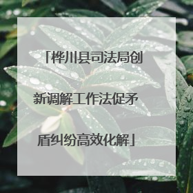 桦川县司法局创新调解工作法促矛盾纠纷高效化解