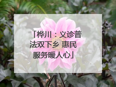 桦川：义诊普法双下乡 惠民服务暖人心