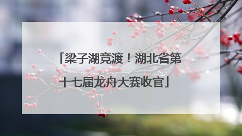 梁子湖竞渡！湖北省第十七届龙舟大赛收官