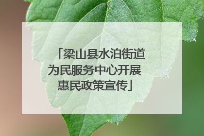梁山县水泊街道为民服务中心开展惠民政策宣传