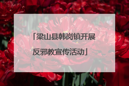 梁山县韩岗镇开展反邪教宣传活动