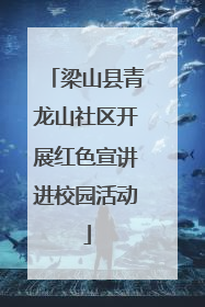 梁山县青龙山社区开展红色宣讲进校园活动