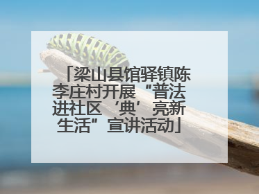梁山县馆驿镇陈李庄村开展“普法进社区‘典’亮新生活”宣讲活动