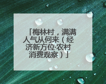 梅林村，满满人气从何来（经济新方位·农村消费观察）