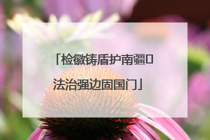 检徽铸盾护南疆 法治强边固国门