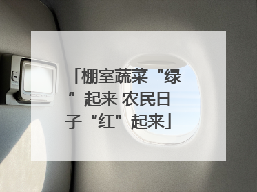 棚室蔬菜“绿”起来 农民日子“红”起来