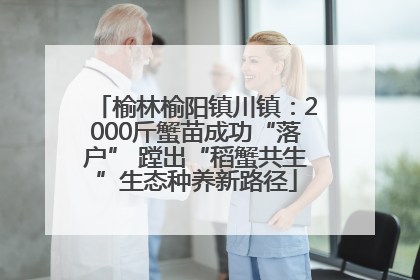榆林榆阳镇川镇：2000斤蟹苗成功“落户” 蹚出“稻蟹共生”生态种养新路径