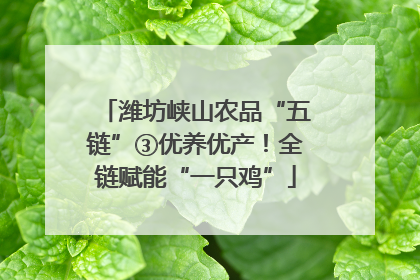 潍坊峡山农品“五链”③优养优产！全链赋能“一只鸡”