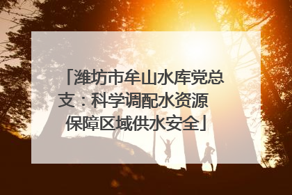 潍坊市牟山水库党总支：科学调配水资源 保障区域供水安全