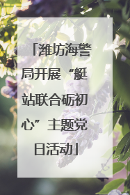 潍坊海警局开展“艇站联合砺初心”主题党日活动