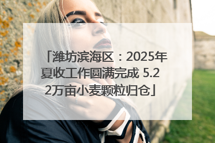 潍坊滨海区：2025年夏收工作圆满完成 5.22万亩小麦颗粒归仓