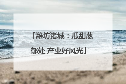 潍坊诸城：瓜甜葱郁处 产业好风光
