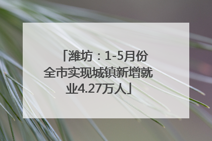 潍坊：1-5月份全市实现城镇新增就业4.27万人
