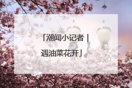 潮闻小记者｜遇油菜花开