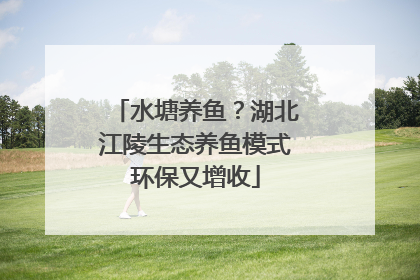 水塘养鱼？湖北江陵生态养鱼模式环保又增收