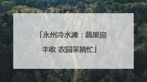 永州冷水滩：蔬果迎丰收 农园采摘忙