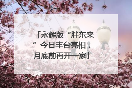 永辉版“胖东来”今日丰台亮相，月底前再开一家