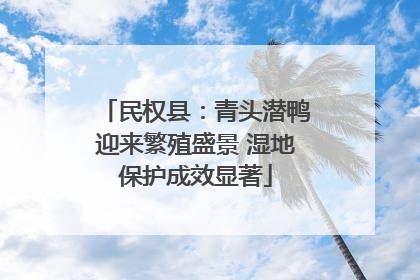 民权县：青头潜鸭迎来繁殖盛景 湿地保护成效显著