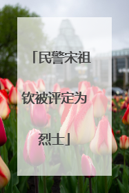 民警宋祖钦被评定为烈士