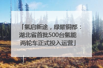 氢启新途，绿耀铜都：湖北省首批500台氢能两轮车正式投入运营