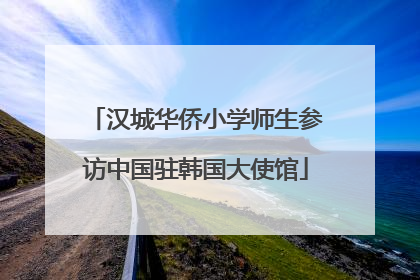 汉城华侨小学师生参访中国驻韩国大使馆