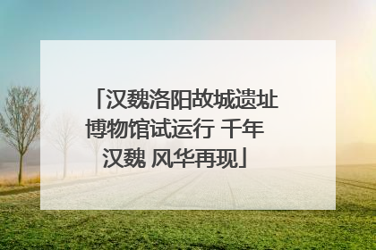 汉魏洛阳故城遗址博物馆试运行 千年汉魏 风华再现