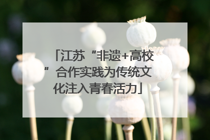 江苏“非遗+高校”合作实践为传统文化注入青春活力