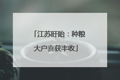 江苏盱眙：种粮大户喜获丰收