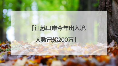 江苏口岸今年出入境人数已超200万