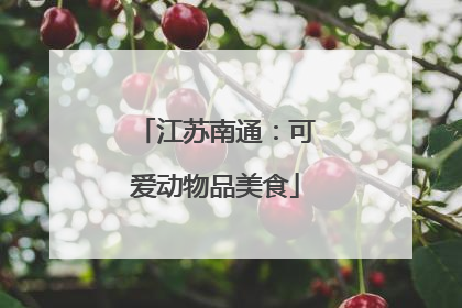 江苏南通：可爱动物品美食