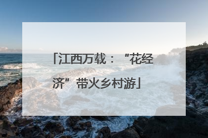 江西万载：“花经济”带火乡村游