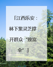 江西乐安：林下紫灵芝撑开群众“致富伞”