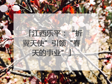 江西乐平：“折翼天使”引领“春天的事业”