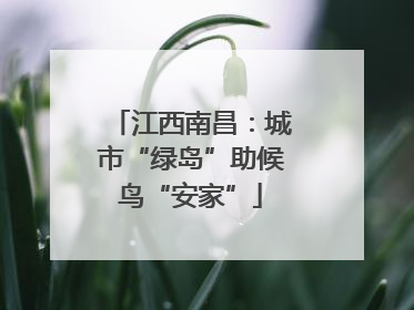 江西南昌：城市“绿岛”助候鸟“安家”