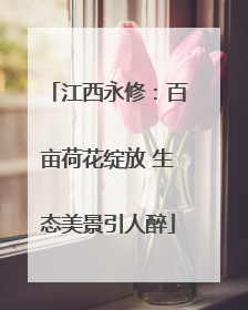 江西永修：百亩荷花绽放 生态美景引人醉