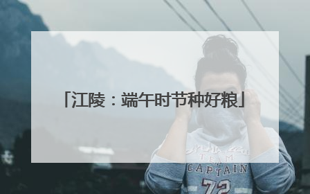 江陵：端午时节种好粮