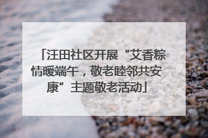 汪田社区开展“艾香粽情暖端午，敬老睦邻共安康”主题敬老活动
